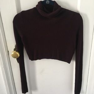 TOPSHOP Cropped Turtleneck